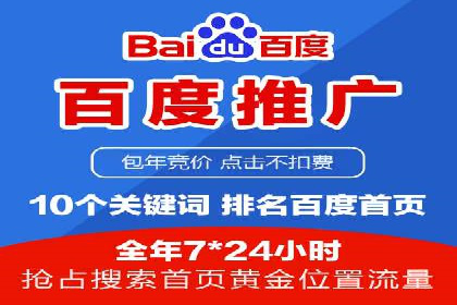 顶级SEM服务公司案例解析
